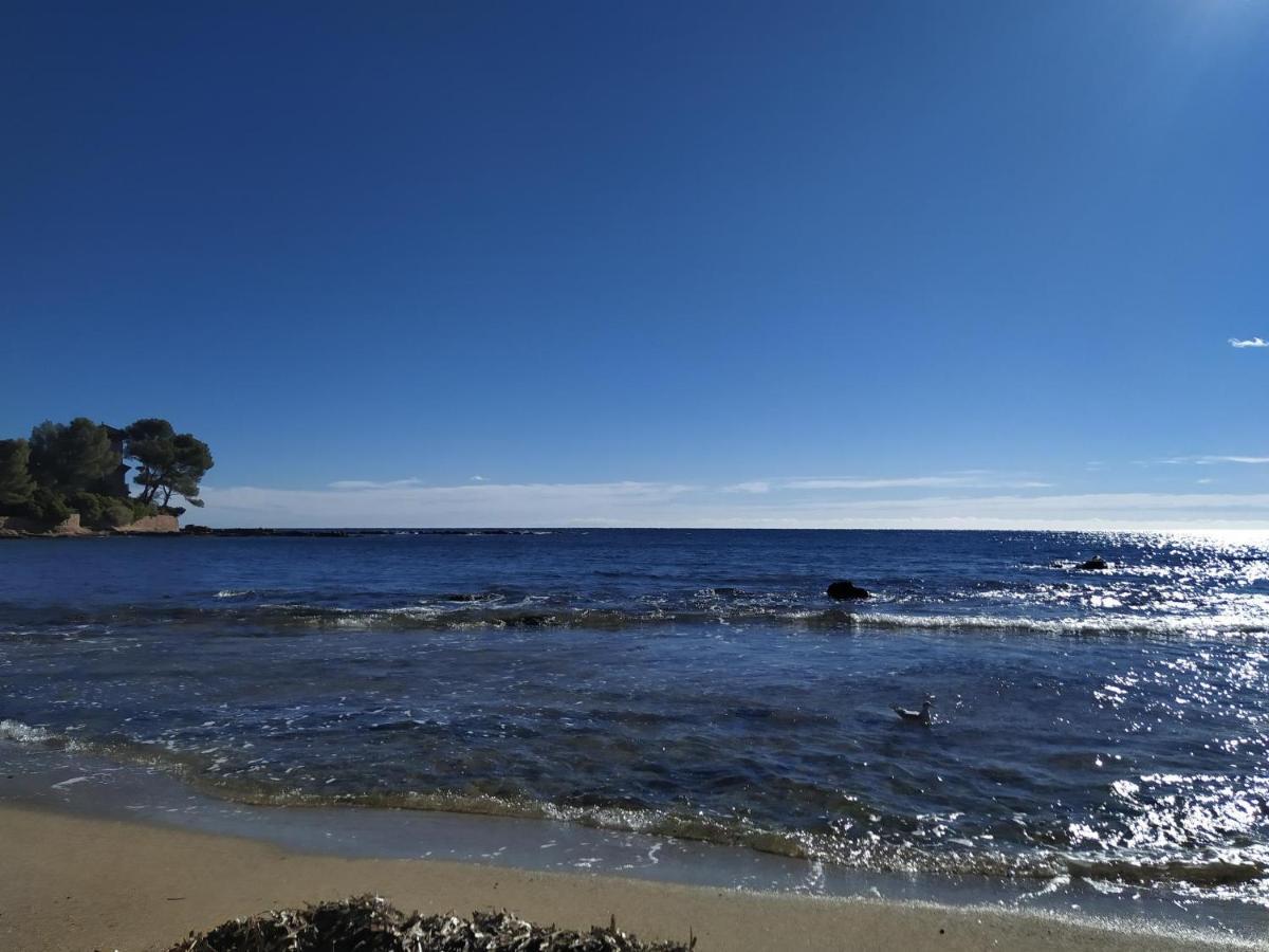 Studio Paradise Entre Mer Et Pins Saint-Raphaël Exteriör bild